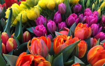 С днем работников культуры!