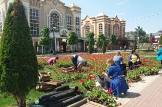 500 тысяч весенних цветов украсят Кисловодск