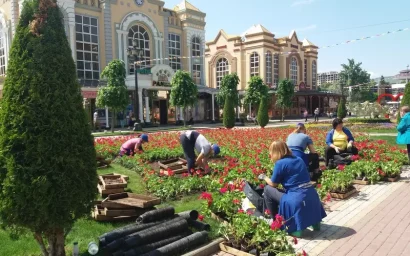 500 тысяч весенних цветов украсят Кисловодск