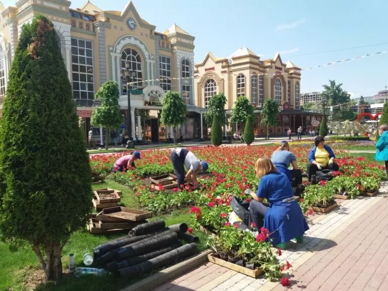 500 тысяч весенних цветов украсят Кисловодск