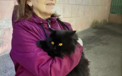 Внимание: пропал человек!