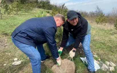 Кисловодчане помогают озеленить  Машук