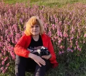 Достижения коллег