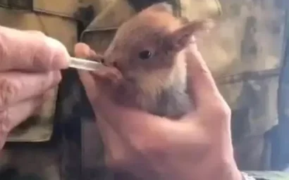 Кисловодчане на Донбассе