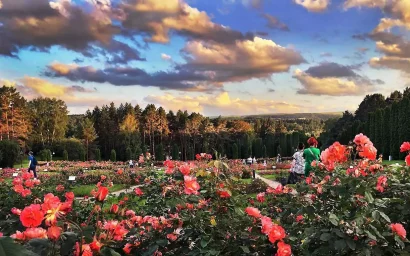 Лермонтов: «Хандра к черту, сердце бьется, грудь высоко дышит»