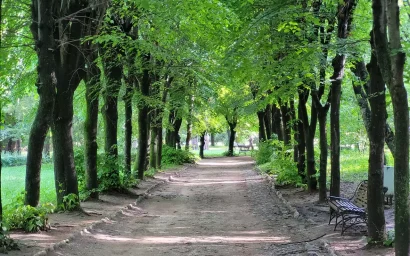 Елена Самохина. Приглашение к прогулке