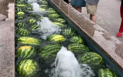 Арбузы испортили фонтаны