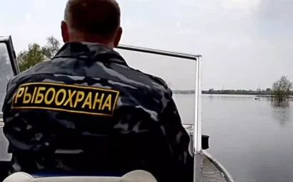 В Новопятигорском озере выявлены нарушения экологии