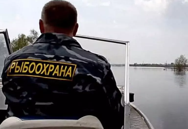 В Новопятигорском озере выявлены нарушения экологии