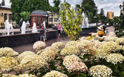 Последние дни уходящего лета 2023 года