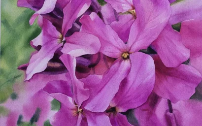 Акварель Натальи Пикаловой увидят москвичи и гости столицы