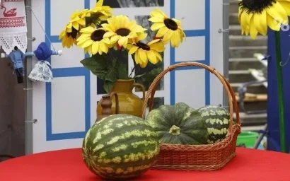 Необычный фестиваль пройдет в Кисловодске