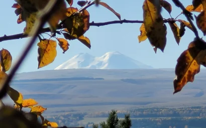 Елена Самохина