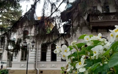 В кругу друзей