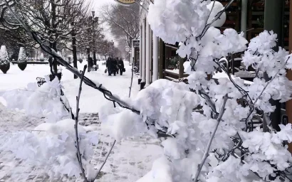 Ах, кто не любит первый снег! (Н. Рубцов)