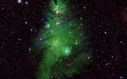 Звездная ель