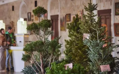 В питьевом зале Нарзанной галереи открылась новогодняя экспозиция 2024