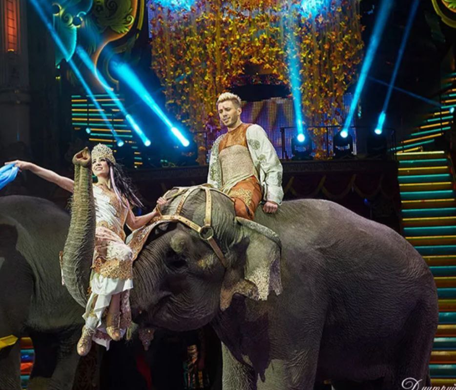 Грандиозное событие, посвящённое 105-ой годовщине Российского цирка