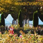 Кисловодский Марафон номер семь. 2024