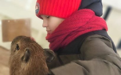 Обнять капибару – исполнить желание!