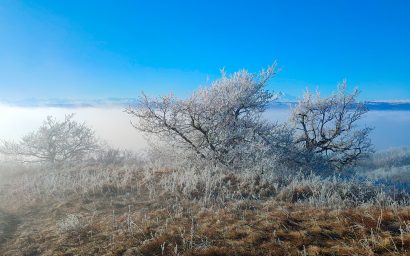 Лакколиты КМВ. Январь