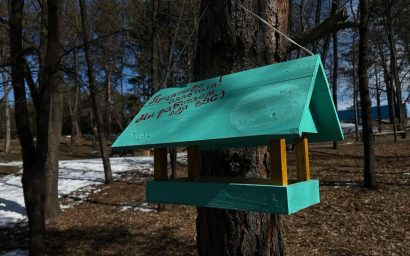 Авторские брендированные кормушки установили в обновленном Комсомольском парке Кисловодска