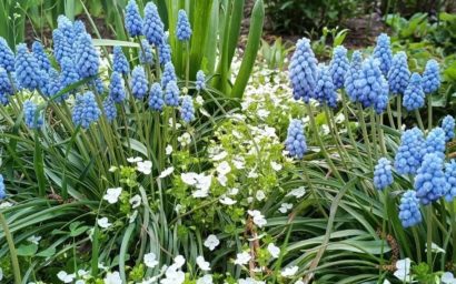 Как доверчива ты, красота!