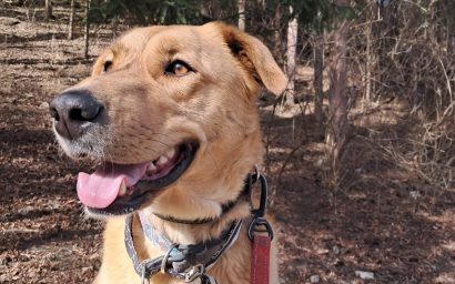 Мы согласились на Васю, а тут ещё Федя! Глава 4