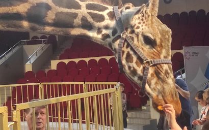 Премьера инклюзивного проекта «Цирк на ощупь» собрала зрителей в Кисловодске