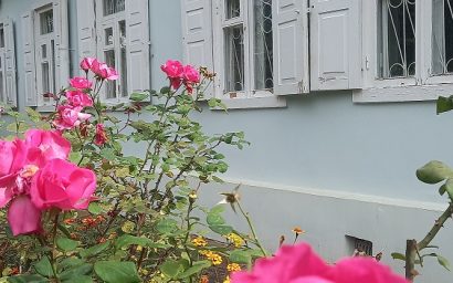 Проект «Цветы у дома твоего» из Кисловодска стал финалистом Всероссийской премии «Служение»