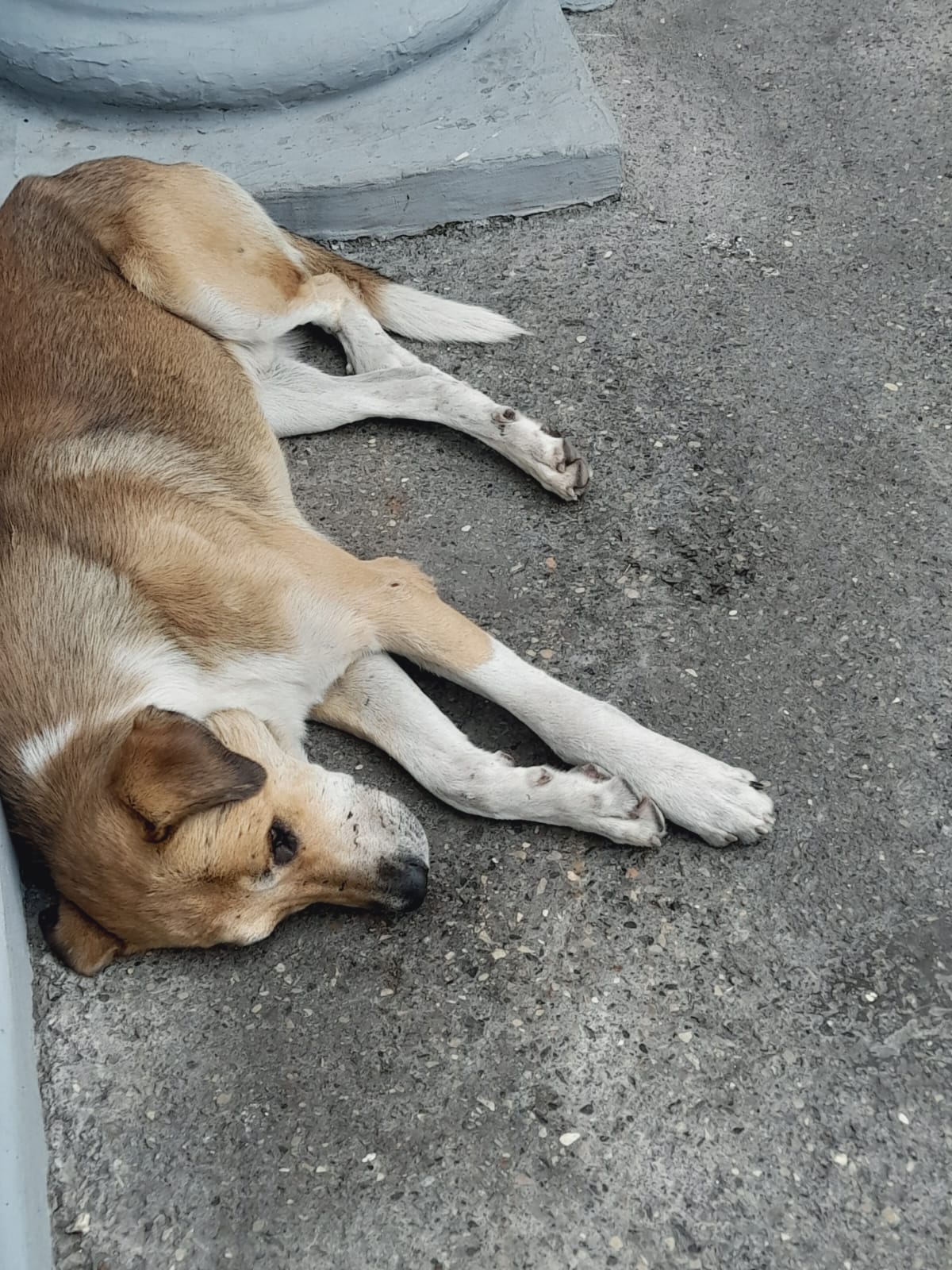 Семья лечит и лелеет, а потом даёт «отставку»… Глава 6