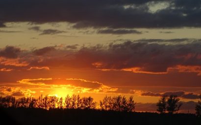 Отдавать или брать: что важнее для счастья?