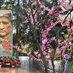 Фоторепортаж в честь 80-летия Великой Победы