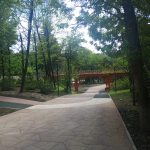 Прогулка по Комсомольскому парку