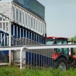 Край крылатых скакунов. Пятигорский ипподром