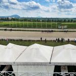 Край крылатых скакунов. Пятигорский ипподром