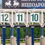 Край крылатых скакунов. Пятигорский ипподром