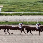 Край крылатых скакунов. Пятигорский ипподром