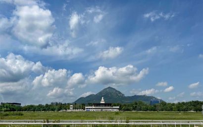 Край крылатых скакунов. Пятигорский ипподром