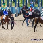 Край крылатых скакунов. Пятигорский ипподром