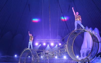 «В цирке я на своем месте…»