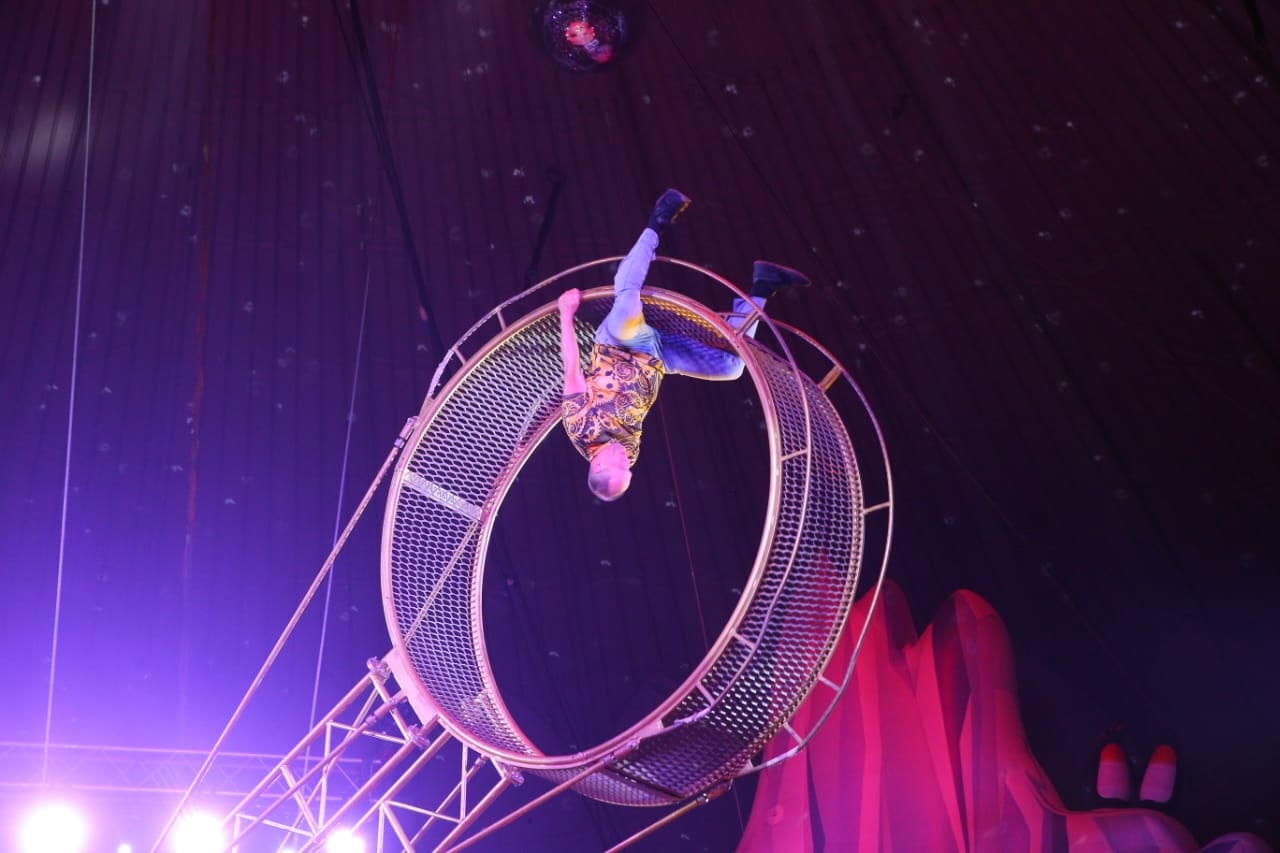 "В цирке я на своем месте..."