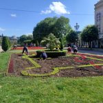 В Кисловодске клумбы переоделись в летние одежды