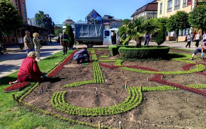В Кисловодске клумбы переоделись в летние одежды