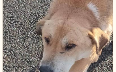 Глава 12: «Фёдор не пройдёт мимо эффектной женщины!»