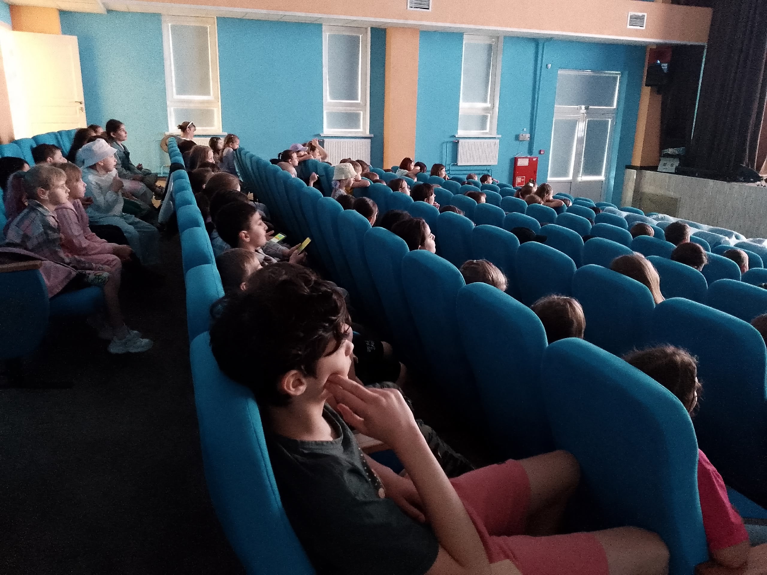 Летние кинопоказы