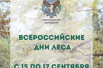 С 15 ПО 17 СЕНТЯБРЯ РОССИЙСКИЕ ДНИ ЛЕСА ⠀