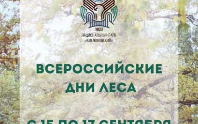 С 15 ПО 17 СЕНТЯБРЯ РОССИЙСКИЕ ДНИ ЛЕСА ⠀