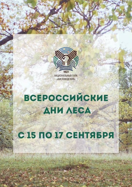 С 15 ПО 17 СЕНТЯБРЯ РОССИЙСКИЕ ДНИ ЛЕСА ⠀