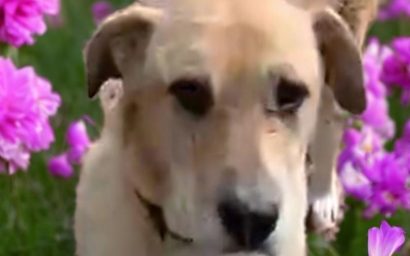 Как Фёдор стал Тишей